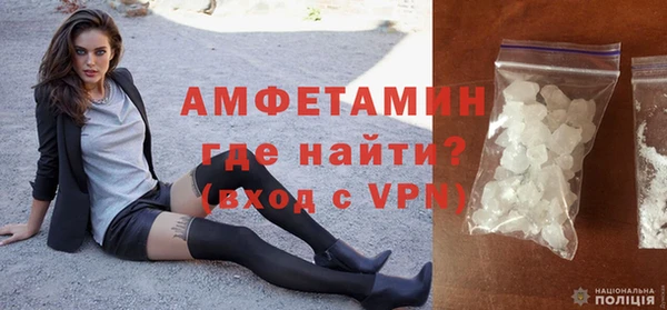 прущие грибы Кадников