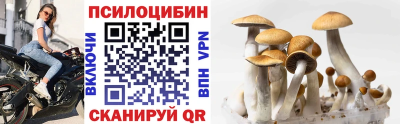 Псилоцибиновые грибы Psilocybe Купить Коркино